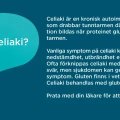 Celiaki är en autoimmun sjukdom. Vanliga celiaki symtom inkluderar trötthet och magbesvär. Gluten finns i vete, korn och råg.
