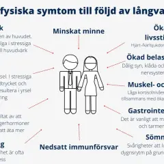 Negativa fysiska symtom vid stress: huvudvärk, yrsel, aptitförändringar, utmattning, minnesproblem, ögonbesvär, smärta, magproblem, sömnstörningar och nedsatt immunförsvar.