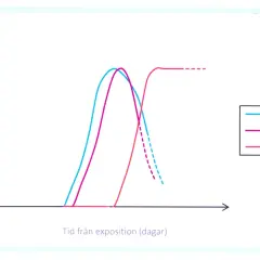 Graf som visar mängden nukleinsyra, antigen och antikroppar över tid efter exponering. Visar inkubationstid covid.