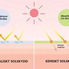Bilden visar hur fysiskt solskydd reflekterar UV-strålar och kemiskt solskydd absorberar dem. Detta förklarar vad betyder SPF och hur det skyddar huden.