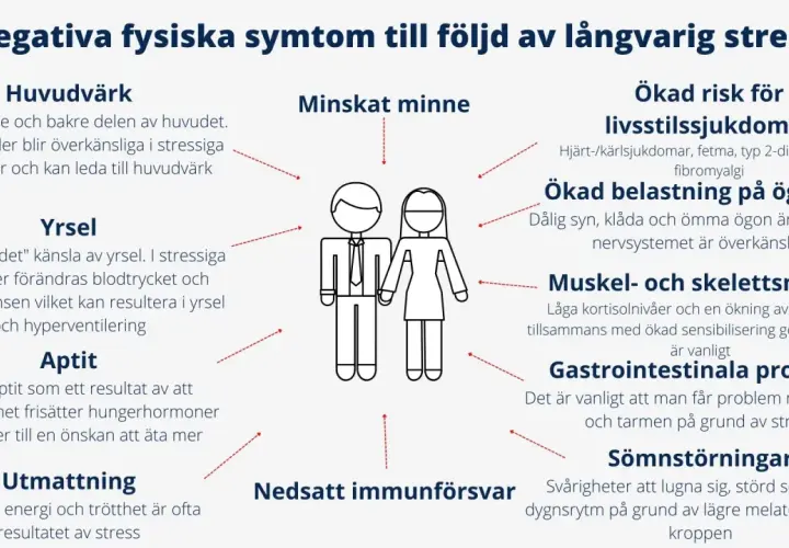 Negativa fysiska symtom vid stress: huvudvärk, yrsel, aptitförändringar, utmattning, minnesproblem, ögonbesvär, smärta, magproblem, sömnstörningar och nedsatt immunförsvar.