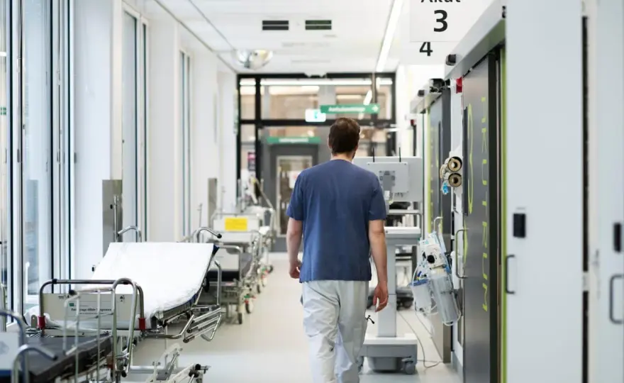 Candidozyma auris - smitta, symtom och behandling