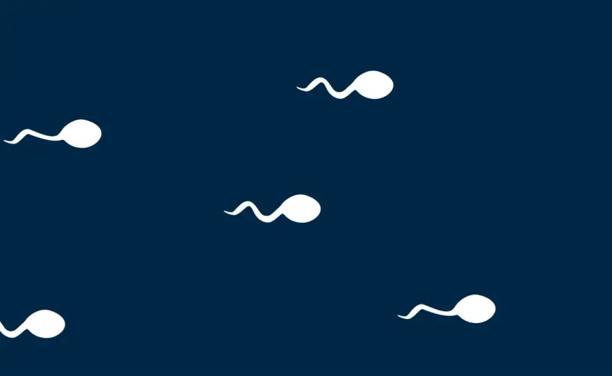 Kan man bli steril av klamydia? Så påverkas fertiliteten