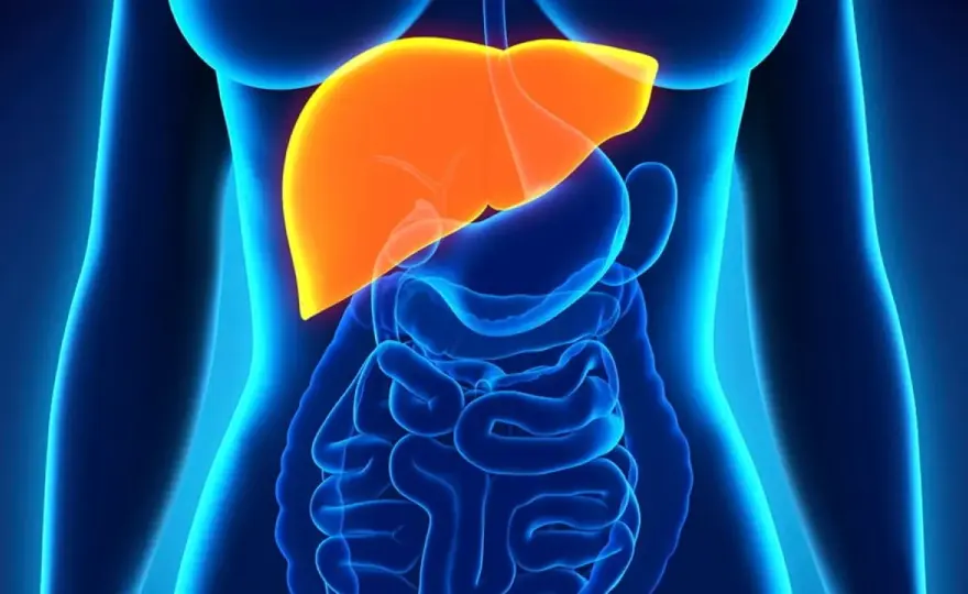 Hepatit B behandling - läkemedel och uppföljning