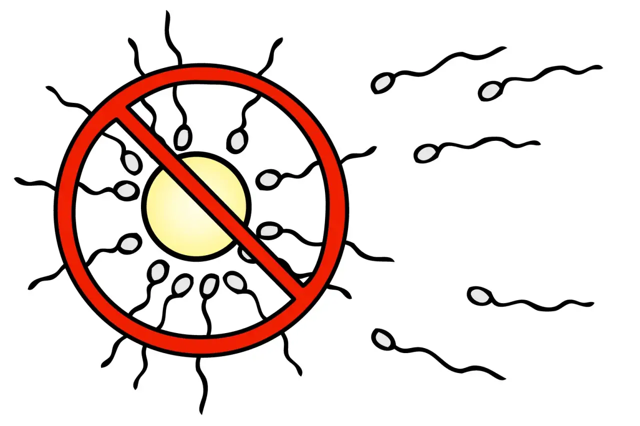 Sperm hindras fr&aring;n att n&aring; ett &auml;gg, symboliserar preventivmedel. Vissa kan uppleva hormonspiral biverkningar.